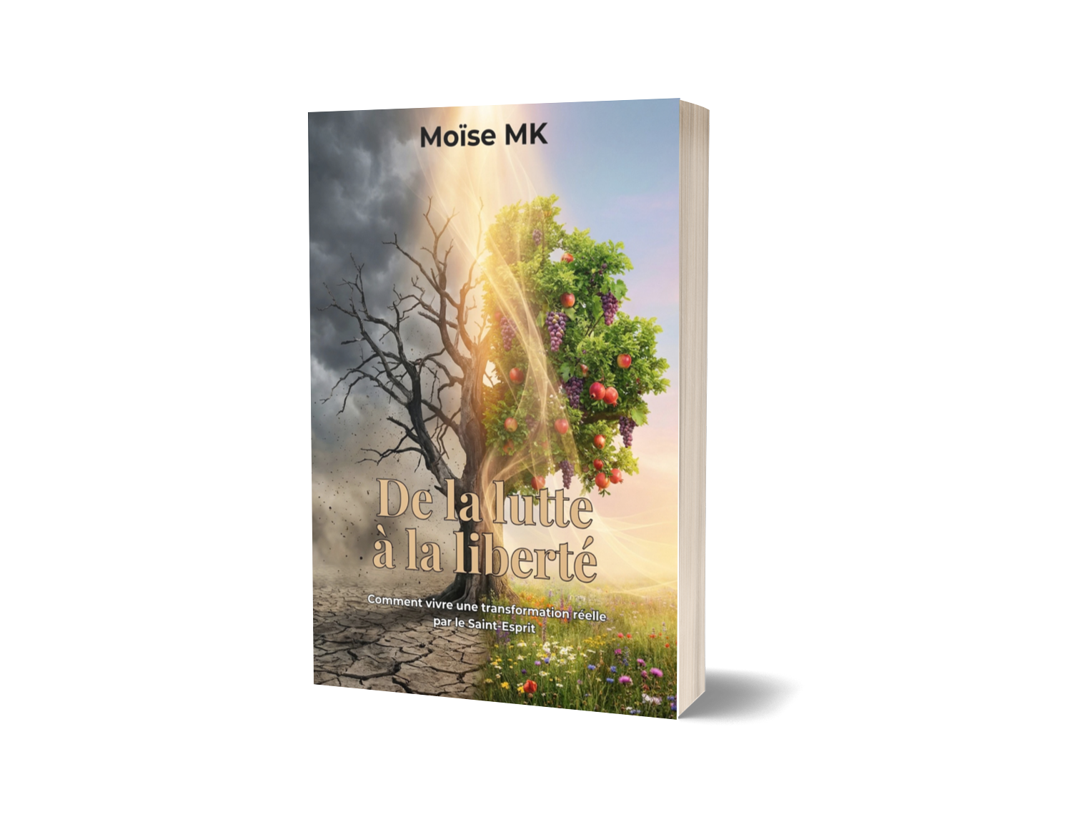 De la lutte à la liberté