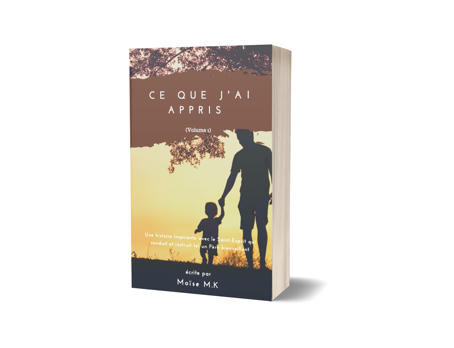 Ce que j'ai appris Vol 1